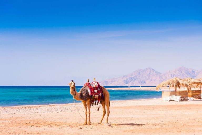 Red Sea Yacht Charter