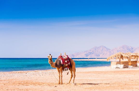 Red Sea yacht charter