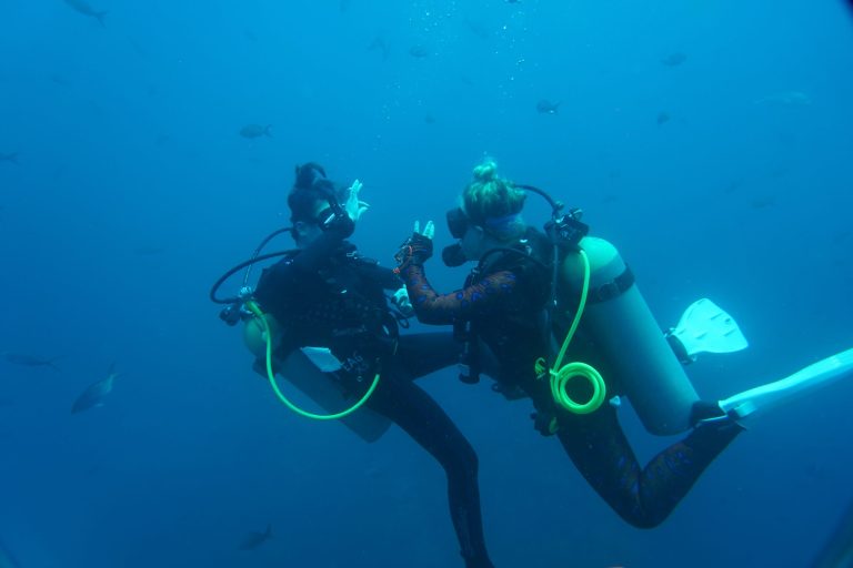 Galapagos Dive Charters