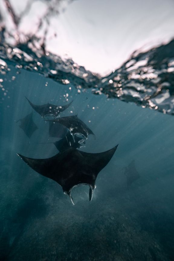 Crewed luxury yacht charter in Raja Ampat